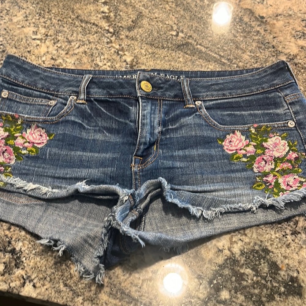 American Eagle Outfitters Blue Denim Floral Embroidered Women's Shorts